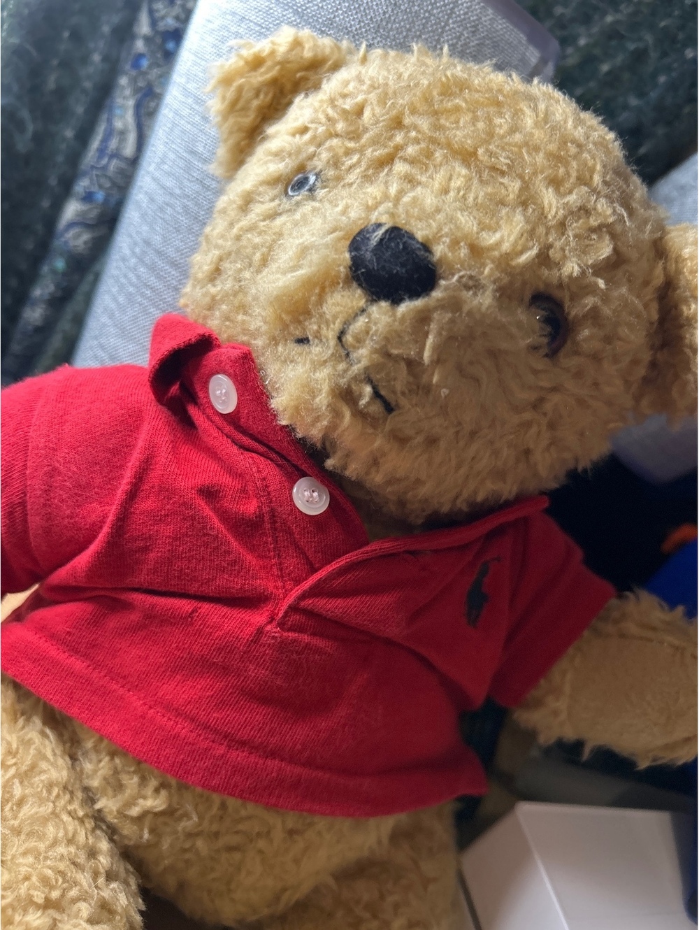 Ralph Lauren Teddy Bear with Red Polo Shirt